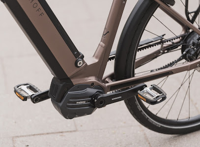 Intérieur magasin de vélos Tours Nord